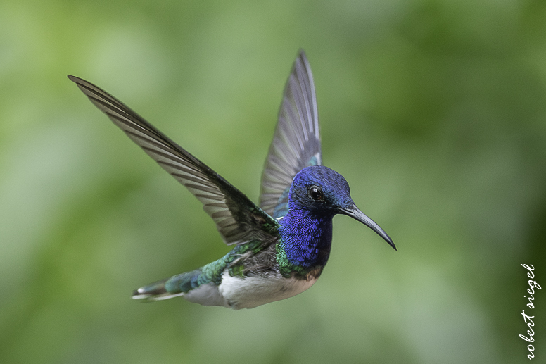 ecuador